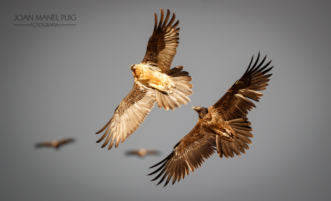 20170304-1164-Editar