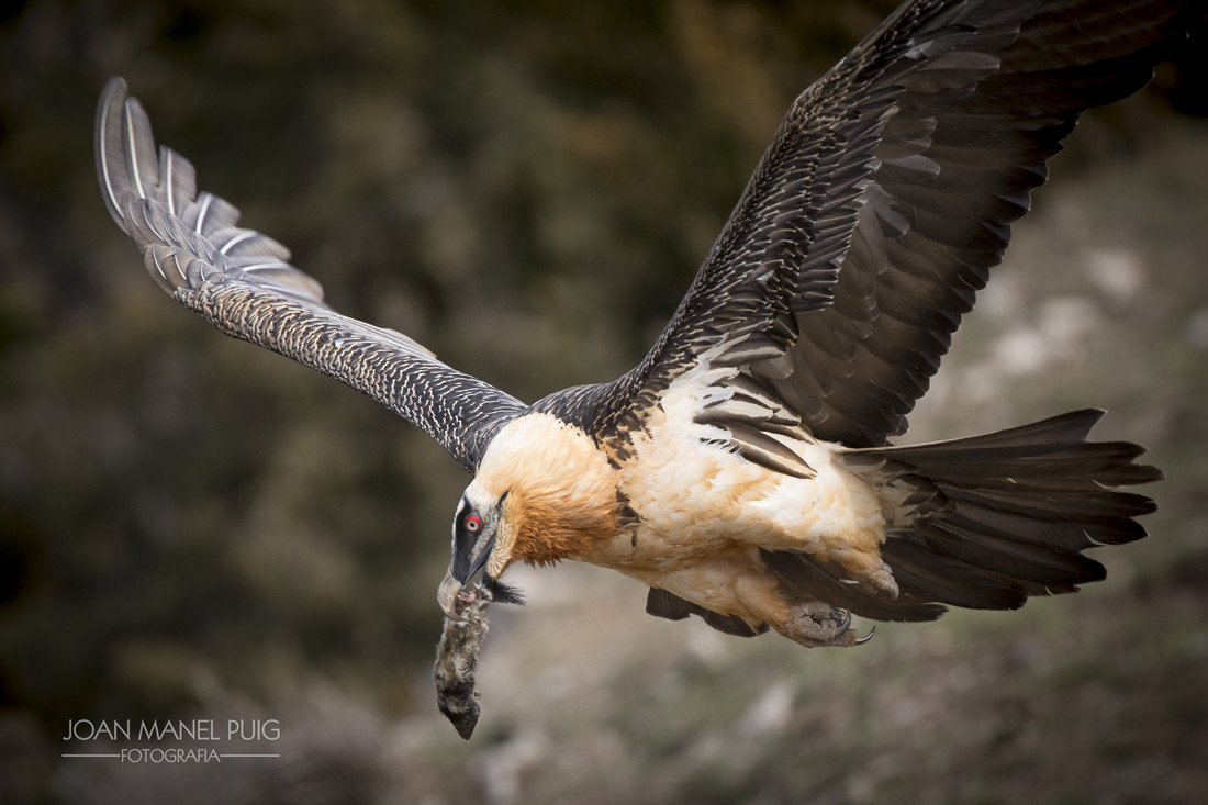 20170305-1772-Editar