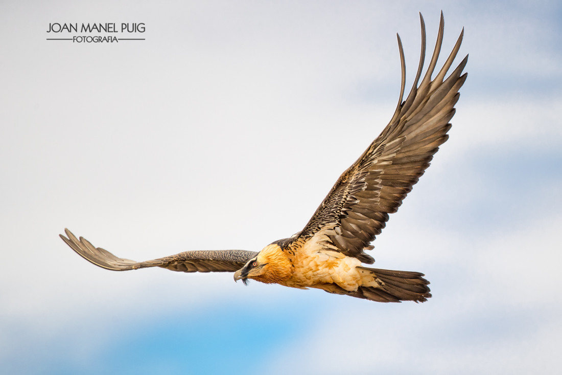 20170305-1951-Editar